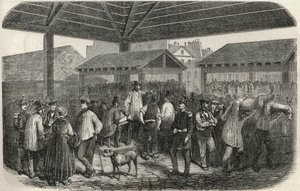 يصنع لحم الجزار في شارع des Prouvaires في الدائرة الأولى بباريس - نقش في "Tableau-de-Paris" لإدموند تيكسييه 1852 بواسطة المدرسة الفرنسية