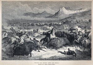 اكتشف كندا: مطاردة سيوكس بيسون. رسم غوستاف دوري بعد كاتلين. نقش من نهاية القرن التاسع عشر في "La nouvelle France" ليوجين جوينين. بواسطة المدرسة الفرنسية