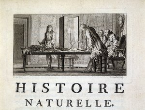 Dissection des animaux - in “” Histoire naturelle, générale et particular”” by Buffon بواسطة المدرسة الفرنسية