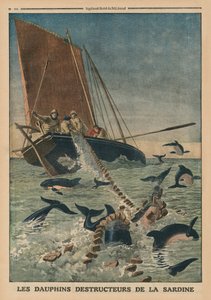 الدلافين تدمر السردين ، الغلاف الأمامي من `` Le Petit Journal &39;&39; ، ملحق Illustre ، 23 مارس 1913