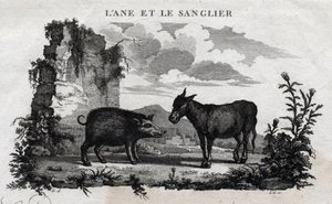 الحمار والخنزير. حكاية Esope. (الكاتب اليوناني Esopo أو Ecopus ، القرن السادس قبل الميلاد) كتبه Guillaume Montfort and Gravees بواسطة Beauble في عام 1801. بواسطة المدرسة الفرنسية