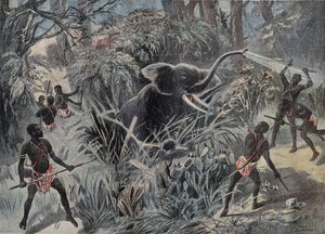 صيد الأفيال في إفريقيا. يسقط الفيل في حفرة قبل أن ينتهي بالسهام. نقش في "" Le Pelerin "" 22/1/1899. بواسطة المدرسة الفرنسية