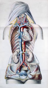 Exanthemata ، من Traite Theorique et Pratique des Maladies de la Peau بقلم بيير فرانسوا أوليف راير (1793-1867) 1835 بواسطة المدرسة الفرنسية