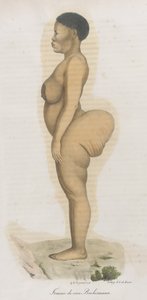 "Femme de Race Bochismann". من الواضح أن هذه اللوحة عبارة عن صورة لسارة (سارتي) بارتمان (1789-1815) التي كانت خويزانية تم إحضارها من جنوب إفريقيا لعرضها على الجمهور في بيكاديللي تحت عنوان "هوتنتوت فينوس" بسبب ما كان بواسطة المدرسة الفرنسية