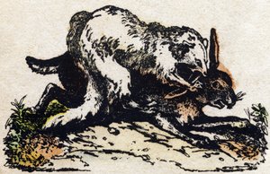 نمس. نقش في "" Alphabet des animaux sauvages "". 9th الدوري. صور إبينال ، بيليرين ، ناشر طابعة ، حوالي عام 1870. نقوش على الخشب ، مطبوعة. 16 صفحة. الأبعاد: 20 × 15 سم. مجموعة خاصة بواسطة المدرسة الفرنسية