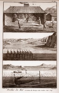 صيد السمك والرنجة والسردين - Peches de Mer - Sorretterie des herring et des sardines - "" La Grande Encyclopedie، ou Dictionnaire Raisonne des Sciences، des Arts et des Metiers "" (موسوعة أو قاموس العلوم والفنون والمهن) بقلم ديني بواسطة المدرسة الفرنسية
