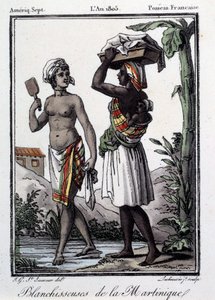 المستعمرات الفرنسية: مبيضات من مارتينيك إلى جزر الهند الغربية. نقش من عام 1805. شارتر ، متحف الفنون الجميلة بواسطة المدرسة الفرنسية