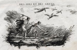 الأوز والرافعات - Fable d'Esope (الكاتب اليوناني Esop أو Esop ، القرن السادس قبل الميلاد) كتبها Guillaume Montfort ونقشها Beauble في عام 1801 بواسطة المدرسة الفرنسية
