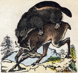الشره. نقش في "" Alphabet des animaux sauvages "". 9th الدوري. صور إبينال ، بيليرين ، ناشر طابعة ، حوالي عام 1870. نقوش على الخشب ، مطبوعة. 16 صفحة. الأبعاد: 20 × 15 سم. مجموعة خاصة بواسطة المدرسة الفرنسية