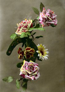 حدوة وزهور c.1898 (صورة ملونة باليد) بواسطة المدرسة الفرنسية