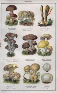 رسم توضيحي لكتاب "traite de medecine et d