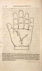 رسم من Chiromantia بواسطة Joannes Indagioe ، ستراسبورغ ، 1531 (طباعة ونقش) بواسطة المدرسة الفرنسية
