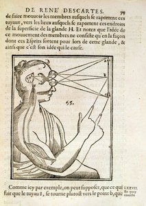 رسم توضيحي من شخصيات دي هومين بقلم رينيه ديكارت (1596-1650) نشر في لاهاي ، 1662 بواسطة المدرسة الفرنسية