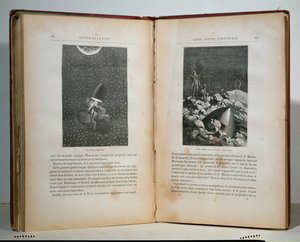 الرسوم التوضيحية من حول القمر لجول فيرن (1828-1905) بواسطة المدرسة الفرنسية
