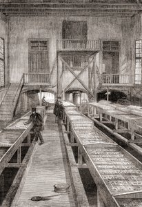 Interior of a 19th century fish farm in Huningue, France, from Les Merveilles de la Science, published c.1870 (engraving) بواسطة المدرسة الفرنسية
