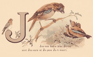 J: Young Jays Pretty لاعبين و Happy Jolily! بواسطة المدرسة الفرنسية