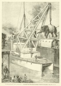 Embarquement Des Elephants (نقش) بواسطة المدرسة الفرنسية