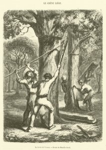 The Bark Levee (نقش) بواسطة المدرسة الفرنسية