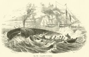 La peche a la baleine (engraving) بواسطة المدرسة الفرنسية