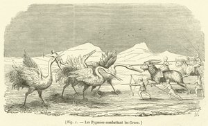 Les Pygmees combattant les Grues (engraving) بواسطة المدرسة الفرنسية