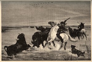 الثيران (سلالة الأبقار) من كامارغ بعد الطلاء بواسطة vayson- نقش في "" PATRIE - نقش في "" PATILE "- الوصف PINTUREQUIRESSE DE LA FRANCE في 6 ألوان بواسطة لوسين هوارد - نهاية القرن التاسع عشر بواسطة المدرسة الفرنسية