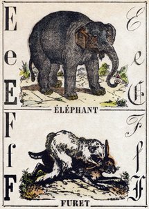 حرف E الفيل. F فيريت. نقش في "" Alphabet des animaux sauvages "". 9th الدوري. صور إبينال ، بيليرين ، ناشر طابعة ، حوالي عام 1870. نقوش على الخشب ، مطبوعة. 16 صفحة. الأبعاد: 20 × 15 سم. مجموعة خاصة بواسطة المدرسة الفرنسية