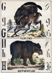 حرف G Glutton ؛ فرس النهر. نقش في "" Alphabet des animaux sauvages "". 9th الدوري. صور إبينال ، بيليرين ، ناشر طابعة ، حوالي عام 1870. نقوش على الخشب ، مطبوعة. 16 صفحة. الأبعاد: 20 × 15 سم. مجموعة خاصة بواسطة المدرسة الفرنسية