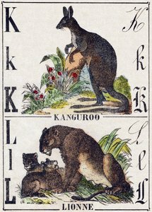 حرف KL ؛ Kanguroo لبؤة. النقش في "" أبجدية الحيوانات البرية "". 9th الدوري. صور إبينال ، بيليرين ، ناشر طابعة ، حوالي عام 1870. نقوش على الخشب ، مطبوعة. 16 صفحة. الأبعاد: 20 × 15 سم. مجموعة خاصة بواسطة المدرسة الفرنسية