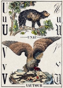 الحرف U Unau (كسول) ؛ نسر V. نقش في "" Alphabet des animaux sauvages "". 9th الدوري. صور إبينال ، بيليرين ، ناشر طابعة ، حوالي عام 1870. نقوش على الخشب ، مطبوعة. 16 صفحة. الأبعاد: 20 × 15 سم. مجموعة خاصة بواسطة المدرسة الفرنسية