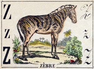 حرف Z زبر. نقش في "" Alphabet des animaux sauvages "". 9th الدوري. صور إبينال ، بيليرين ، ناشر طابعة ، حوالي عام 1870. نقوش على الخشب ، مطبوعة. 16 صفحة. الأبعاد: 20 × 15 سم. مجموعة خاصة بواسطة المدرسة الفرنسية