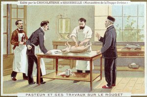 لويس باستور (1822-1895) يعمل على التحقيق في الحصبة ، البطاقة الإعلانية لـ Chocolaterie dAiguebelle