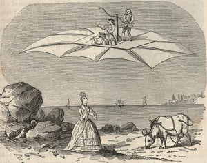 آلة (طائرة شراعية) بواسطة Samuel Musgrave (1732-1780) نقش في "" العلوم الموجودة تحت تصرف الجميع - الفيزياء والكيمياء الشعبية "بقلم Alexis Clerc - نهاية القرن التاسع عشر - مجموعة خاصة بواسطة المدرسة الفرنسية