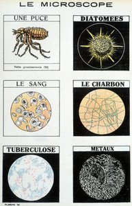 Microscopes: a chip, diatoms, blood, coal, tuberculosis, metals. بواسطة المدرسة الفرنسية