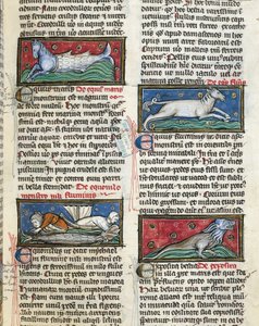 Ms 320 Fol.115r Sea Monsters, from 