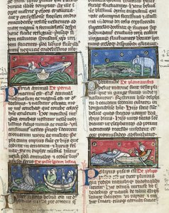 Ms 320 Fol.116 Sea Monsters, from 