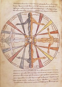 السيدة 422 fol.6v عجلة المواسم والأشهر ، من De Natura Rerum بقلم القديس إيزيدور من إشبيلية بواسطة المدرسة الفرنسية