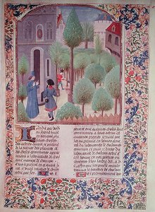 السيدة 5064 fol.105r زراعة الأشجار ، من Livre des Prouffitz Champestres بواسطة Pietro de Crescenzi (1230-132021) بواسطة المدرسة الفرنسية