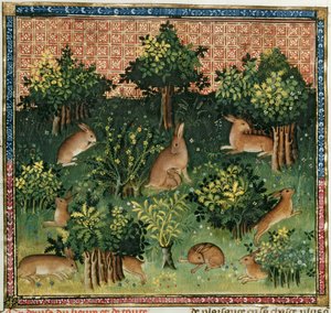 السيدة Fr 616 fol.24v Hares in a Wood، from the Livre de la Chasse by Gaston Phebus de Foix (1331-91) بواسطة المدرسة الفرنسية