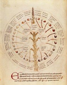 Ms Lat 11229 fol. 19r Table لتحليل البول ، من Petit Traite dhygiene et Medecine بواسطة المدرسة الفرنسية