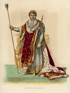 Napoleon Bonaparte (coloured engraving) بواسطة المدرسة الفرنسية