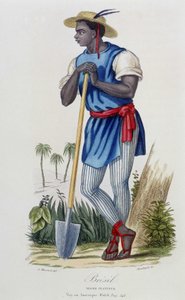 Negro planteur du Brasil - في "" Universal Bibliotheque des Voyages "بقلم ألبرت مونتيمونت ، محرر. أرماند أوبريه ، باريس بواسطة المدرسة الفرنسية