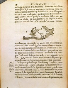 رسم تخطيطي ، من De Homine Figuris بقلم رينيه ديكارت (1596-1650) نشر في لاهاي ، 1662 بواسطة المدرسة الفرنسية