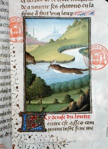 قضاعة يصطاد سمكة ، من Livre de la Chasse بواسطة Gaston Phebus de Foix (1331-1391) (رق) بواسطة المدرسة الفرنسية