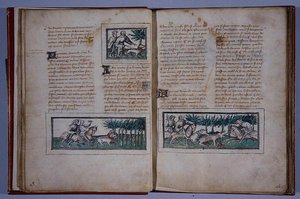 الصفحات 57 و 58 ، من Le Livre du Roy Modus et de la Royne Racio ، بقلم Henri de Ferrieres ، c.1420 (قلم وحبر ومرحاض على ورق) بواسطة المدرسة الفرنسية