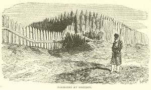 Palisades at Dresden (engraving) بواسطة المدرسة الفرنسية