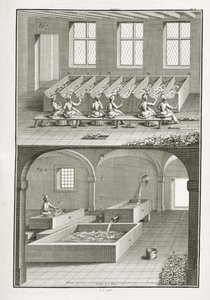نشر الورق ، من موسوعة العلوم والعدادات بقلم دينيس ديدرو (1713-1784) ، نُشر في عام 1770. بواسطة المدرسة الفرنسية