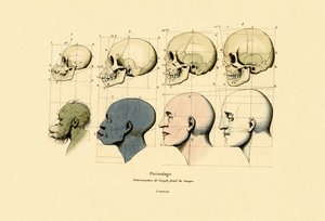 علم الفرينولوجيا ، 1833-1839 بواسطة المدرسة الفرنسية