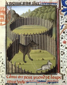 Piege a wolf - في "" كتاب الصيد لـ Gaston Phoebus ، كونت Foix ، Lord of Béarn "" بواسطة المدرسة الفرنسية
