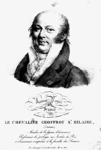 صورة إتيان جوفروي سانت هيلير (1722-1844) بواسطة المدرسة الفرنسية