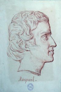 صورة لفرانسوا فينسينت راسبيل (1794-1878) (طباشير أحمر على ورق) بواسطة المدرسة الفرنسية